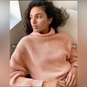 100% wool Aritzia Wilfred montepellier sweater